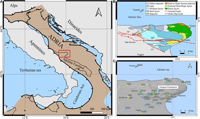 Seismogenic Structure Orientation and Stress Field of the Gargano Promontory (Southern Italy) From Microseismicity Analysis
